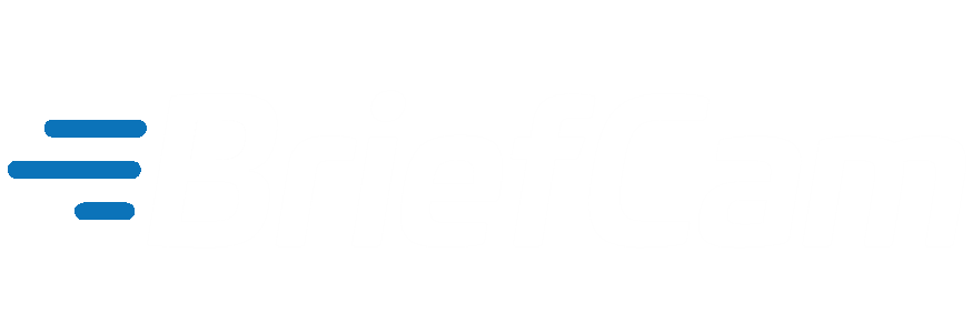 Logo Briefcam