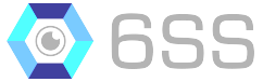 6SS